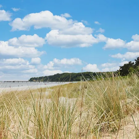 Villa Karola Ferienwohnung 04 Mit Sauna- Und Schwimmbadnutzung Im Ahoi Sellin Apartament